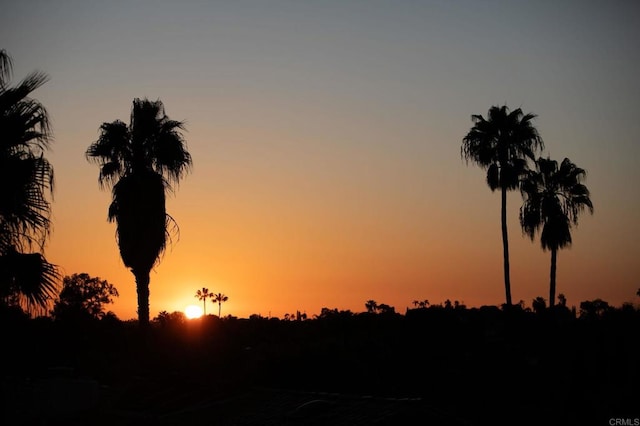 1248 Via Christina, Vista, CA 92084 - view of nature at dusk
