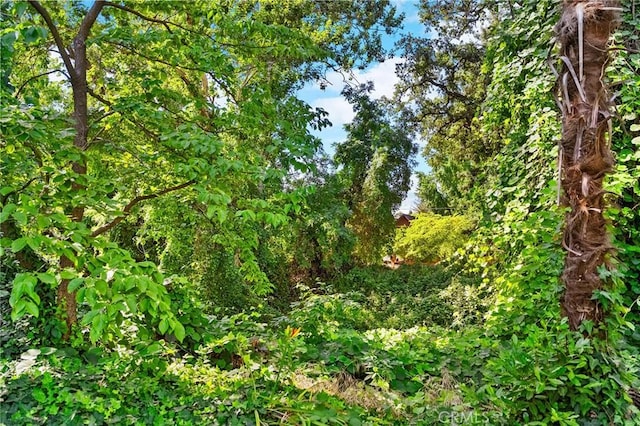 603 Reed Park Dr, Chico, CA 95926 - view of local wilderness