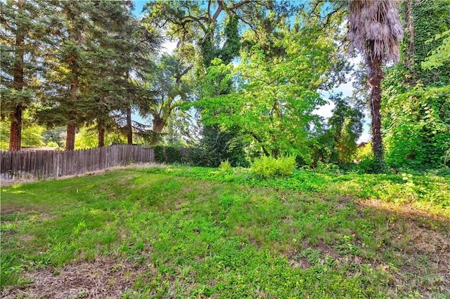 603 Reed Park Dr, Chico, CA 95926 - view of yard