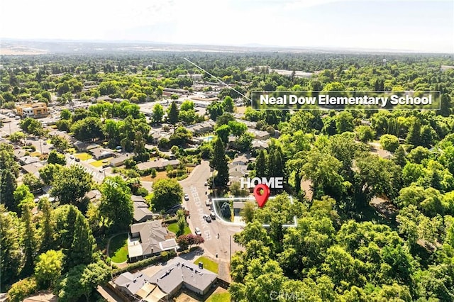 603 Reed Park Dr, Chico, CA 95926 - drone / aerial view