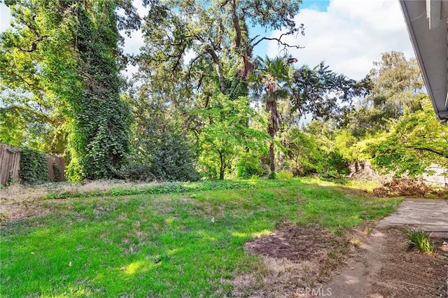 603 Reed Park Dr, Chico, CA 95926 - view of yard