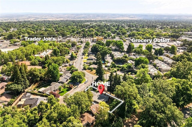 603 Reed Park Dr, Chico, CA 95926 - bird's eye view