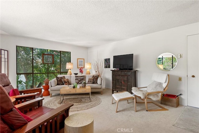 922 Avenida Majorca Unit O, Laguna Woods, CA 92637 - living room with carpet and a textured ceiling