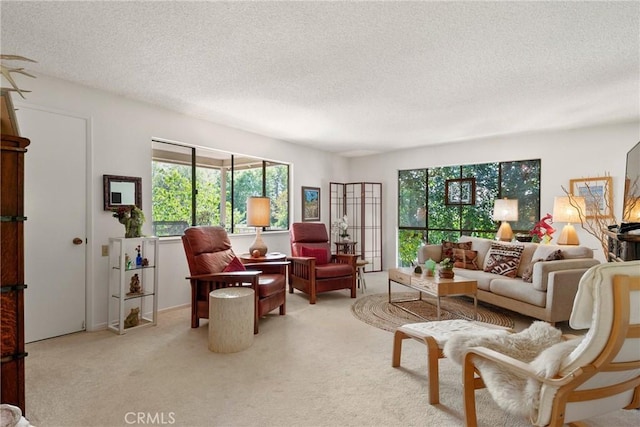 922 Avenida Majorca Unit O, Laguna Woods, CA 92637 - carpeted living area with a textured ceiling