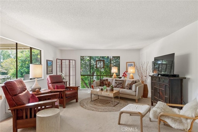 922 Avenida Majorca Unit O, Laguna Woods, CA 92637 - carpeted living area with a textured ceiling