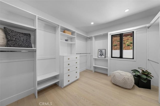 2708 Via Elevado, Palos Verdes Estates, CA 90274 - spacious closet featuring light wood-style floors