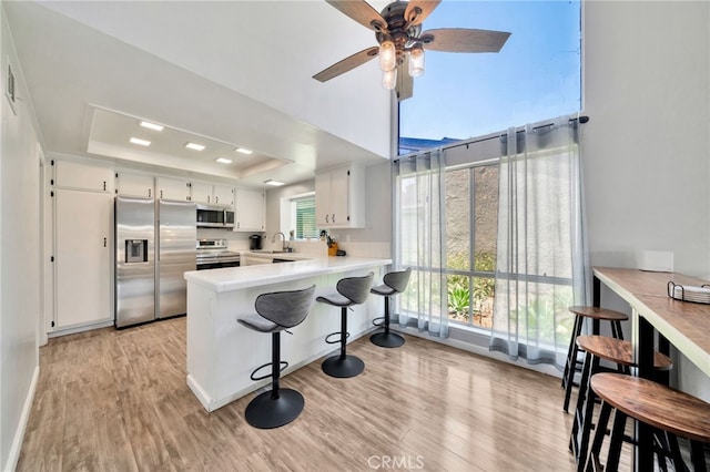 24812 Leto Cir, Mission Viejo, CA 92691 - kitchen featuring stainless steel appliances, a raised ceiling, light wood-type flooring, light countertops, and white cabinetry