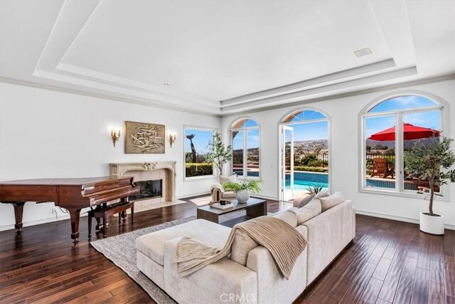 5 Marbella, Dana Point, CA 92629 - living room featuring a tray ceiling, a high end fireplace, and dark wood-type flooring