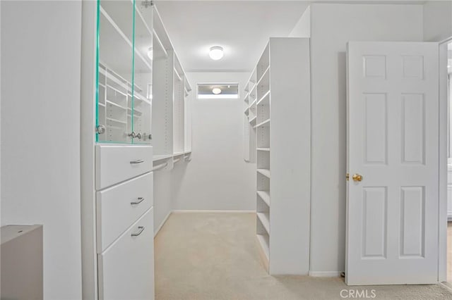 7004 Wildrose Ter, Carlsbad, CA 92011 - photo 29