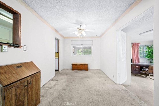 631 N Evergreen St, Burbank, CA 91505 - living area with light colored carpet, a textured ceiling, a ceiling fan, and a desk
