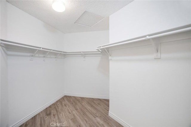 7029 Novara Pl, Rancho Cucamonga, CA 91701 - spacious closet featuring wood finished floors and attic access