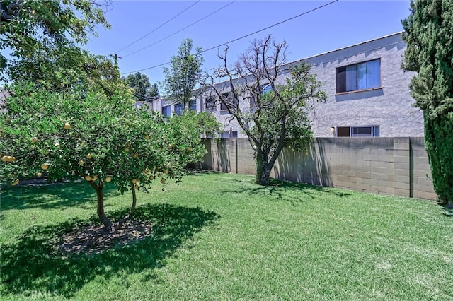 148 N B St, Tustin, CA 92780 - photo 32