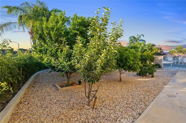 2157 Pecan Tree St, Hemet, CA 92545 - view of yard with a gate