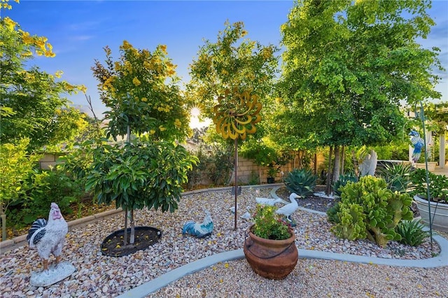 2157 Pecan Tree St, Hemet, CA 92545 - view of yard