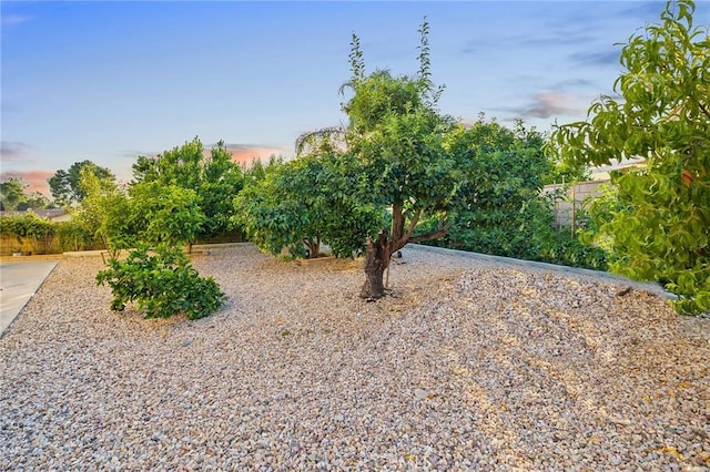 2157 Pecan Tree St, Hemet, CA 92545 - view of yard at dusk