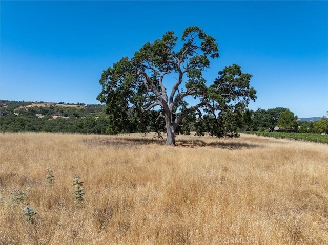 1700 S River Rd, Paso Robles, CA 93446 - photo 15
