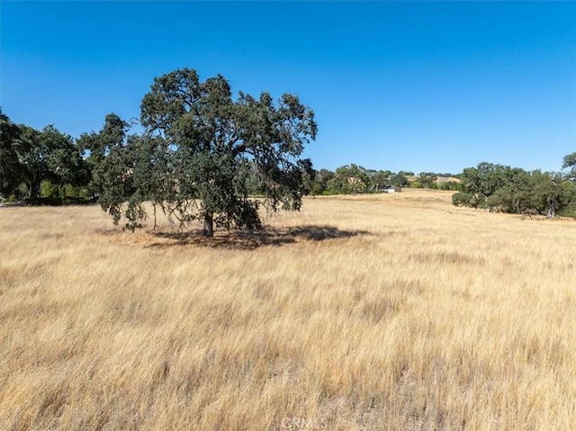 1700 S River Rd, Paso Robles, CA 93446 - photo 4