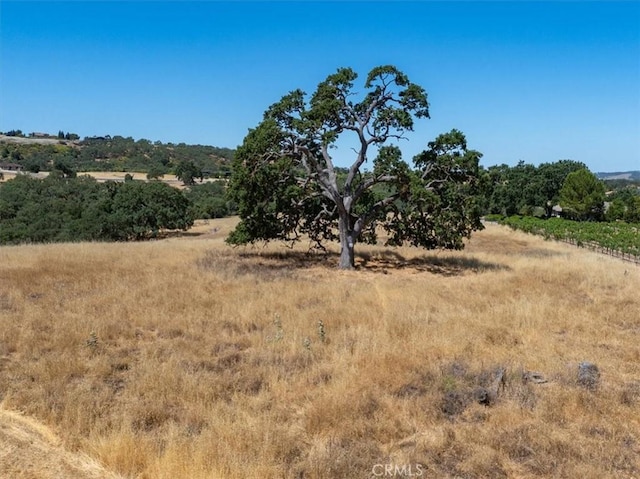 1700 S River Rd, Paso Robles, CA 93446 - photo 5