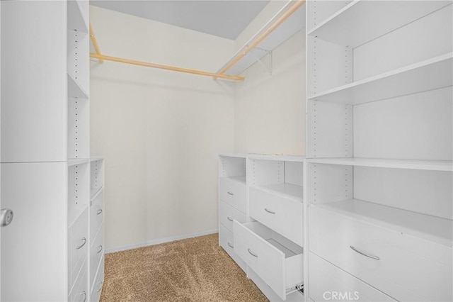 39635 Columbia Union Dr Unit C, Murrieta, CA 92563 - walk in closet featuring light colored carpet