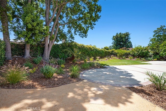 3386 Montagne Way, Thousand Oaks, CA 91362 - view of yard