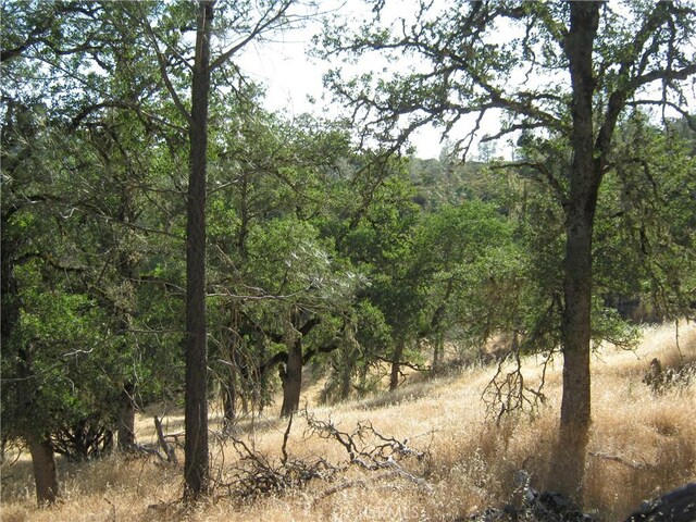 13040 Bottle Rock Rd, Cobb, CA 95426 - photo 10