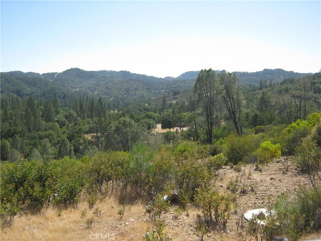 13040 Bottle Rock Rd, Cobb, CA 95426 - photo 3
