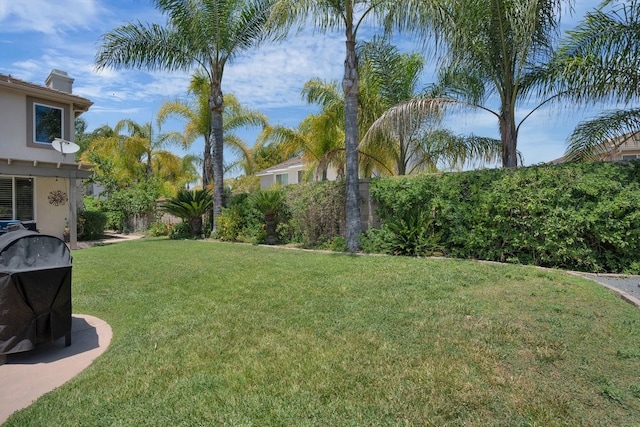 42207 Kimberly Way, Murrieta, CA 92562 - view of green lawn