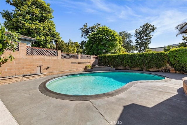 439 S Lamer St, Burbank, CA 91506 - view of pool featuring a fenced backyard and a patio area