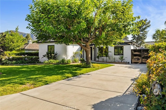 439 S Lamer St, Burbank, CA 91506 - view of front facade with stucco siding, a front lawn, and concrete driveway