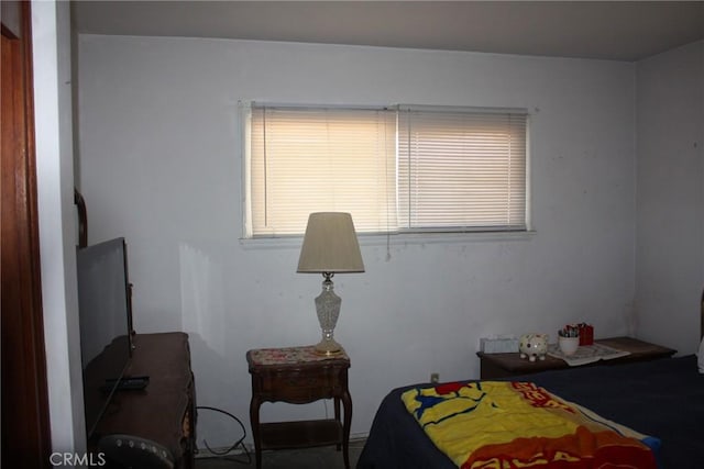 6400 Tournament Dr, Jurupa Valley, CA 92509 - view of bedroom