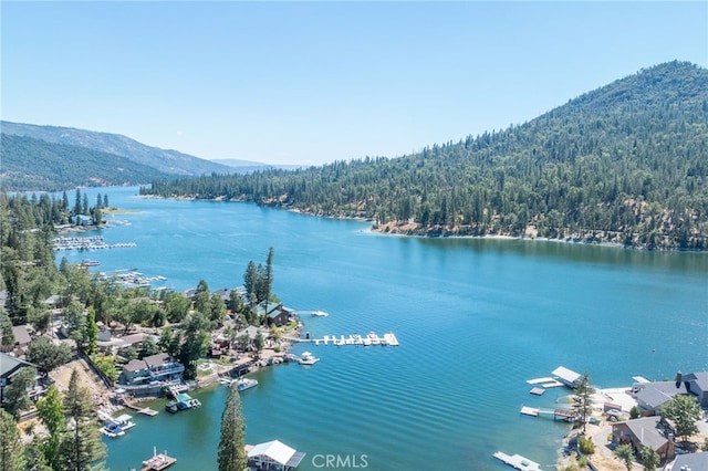 39671 E Idylwild, Bass Lake, CA 93604 - photo 4