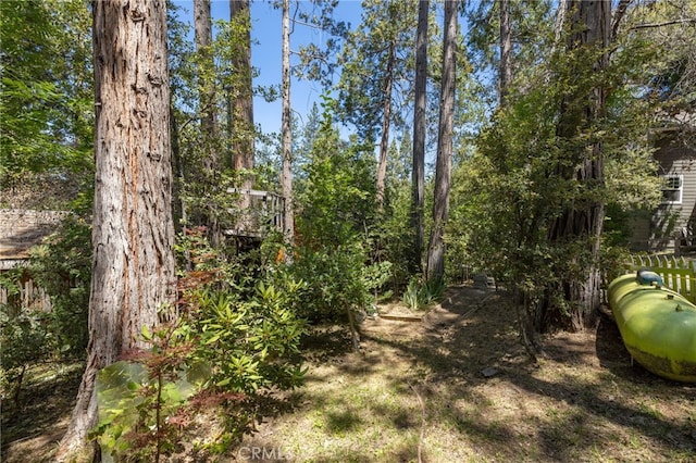 39671 E Idylwild, Bass Lake, CA 93604 - photo 34