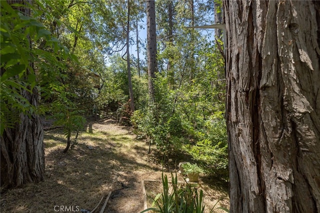 39671 E Idylwild, Bass Lake, CA 93604 - photo 33