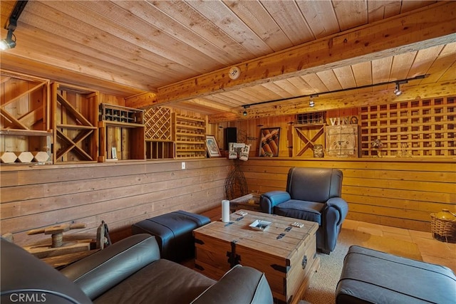 9911 Overhill Dr, North Tustin, CA 92705 - living room with rail lighting, wooden ceiling, and wooden walls