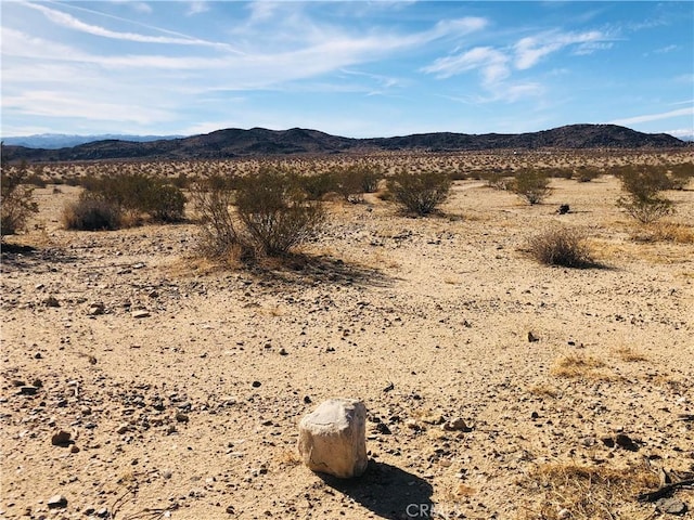 46 Desert Lily St, Joshua Tree, CA 92252