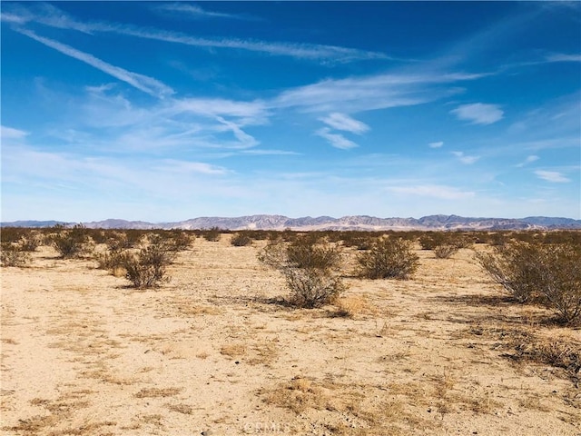 46 Desert Lily St, Joshua Tree, CA 92252
