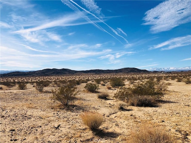 46 Desert Lily St, Joshua Tree, CA 92252