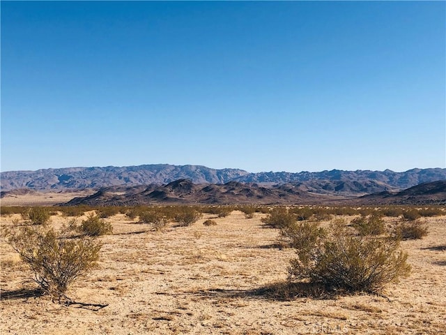 46 Desert Lily St, Joshua Tree, CA 92252
