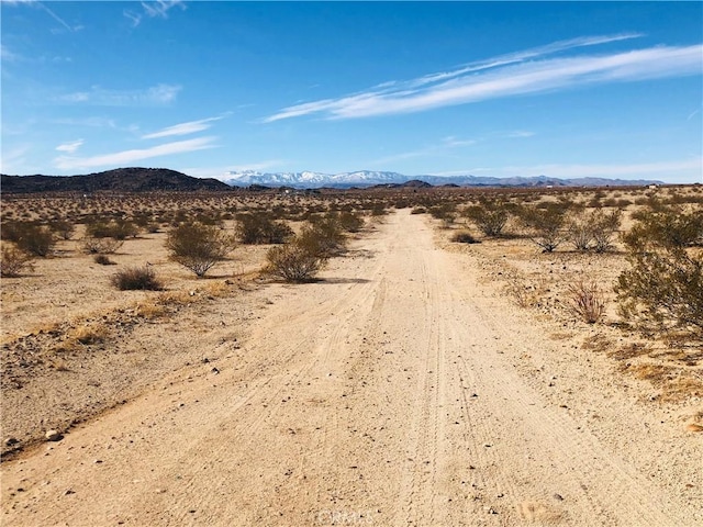 46 Desert Lily St, Joshua Tree, CA 92252