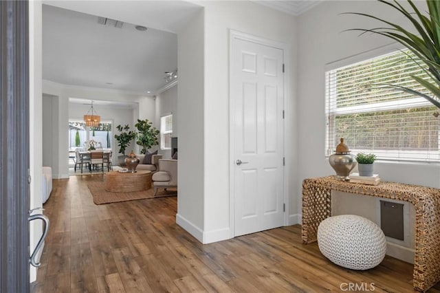 7938 Kenyon Ave, Los Angeles, CA 90045 - photo 4