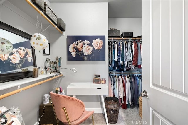 3109 Rae Creek Dr, Chico, CA 95973 - view of walk in closet