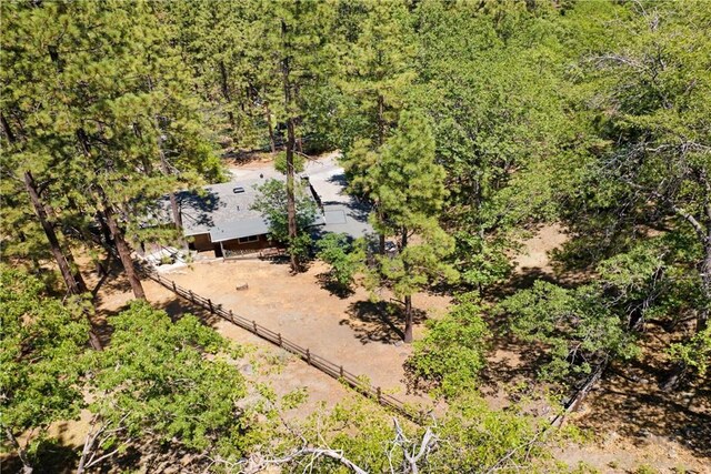 901 Mocking Bird Rd, Wrightwood, CA 92397 - photo 31