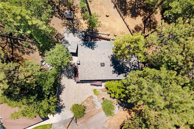 901 Mocking Bird Rd, Wrightwood, CA 92397 - photo 26