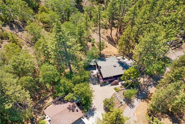 901 Mocking Bird Rd, Wrightwood, CA 92397 - photo 30