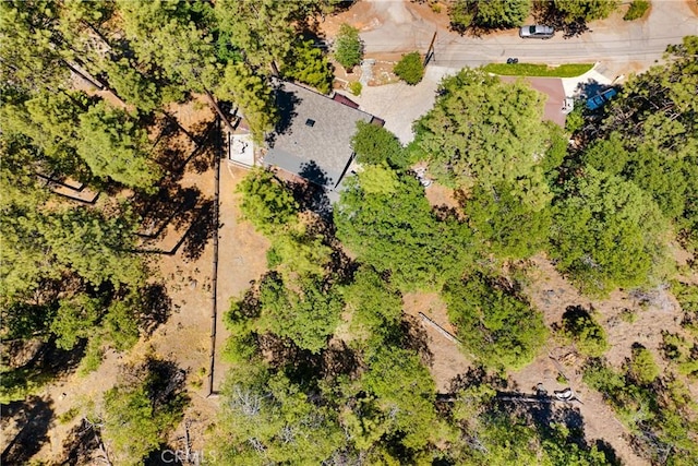 901 Mocking Bird Rd, Wrightwood, CA 92397 - photo 29