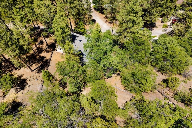 901 Mocking Bird Rd, Wrightwood, CA 92397 - photo 28