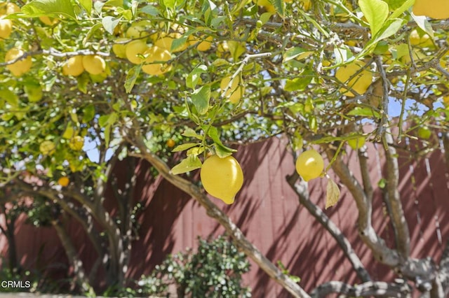 8699 Roswell St, Ventura, CA 93004 - photo 37