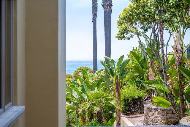 2727 Shell Beach Rd Unit 219, Pismo Beach, CA 93449 - water view