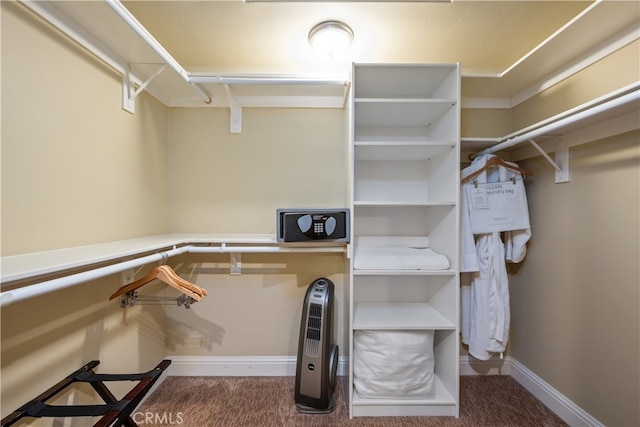 2727 Shell Beach Rd Unit 219, Pismo Beach, CA 93449 - walk in closet with carpet