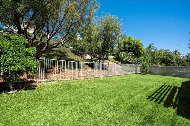 25623 Frost Ln, Stevenson Ranch, CA 91381 - view of yard